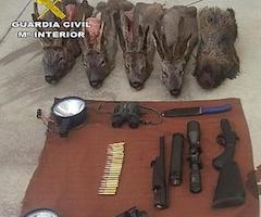 Detienen a siete personas por diversos delitos durante la temporada de caza mayor en Cáceres